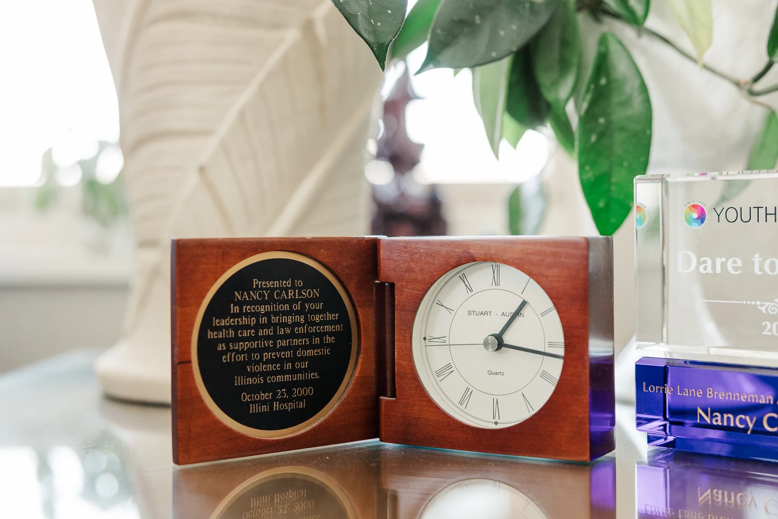 NANCYCARLSONDOMESTICVIOLENCEPROTECTIONAWARD