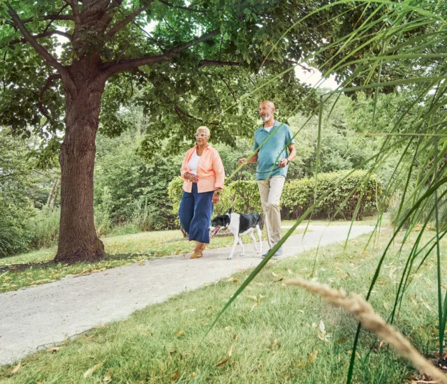 June-Oak Trace-header