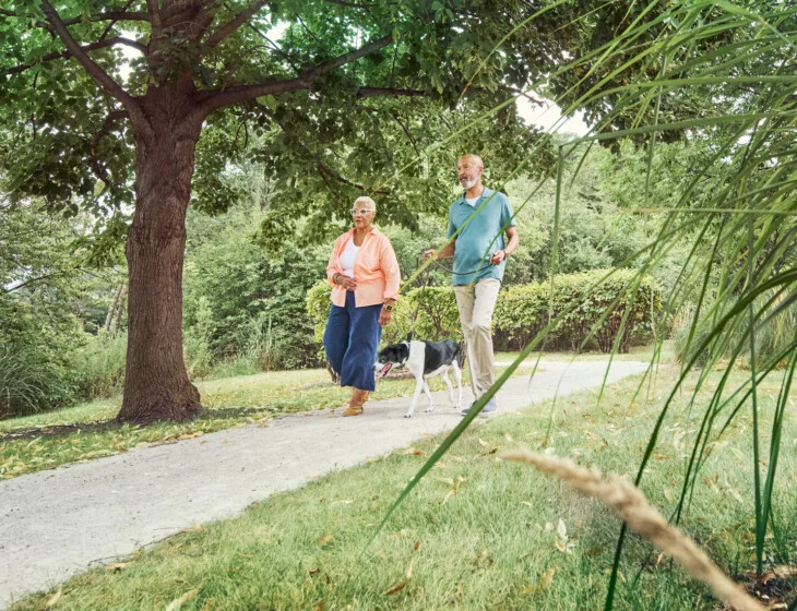 June-Oak Trace-header