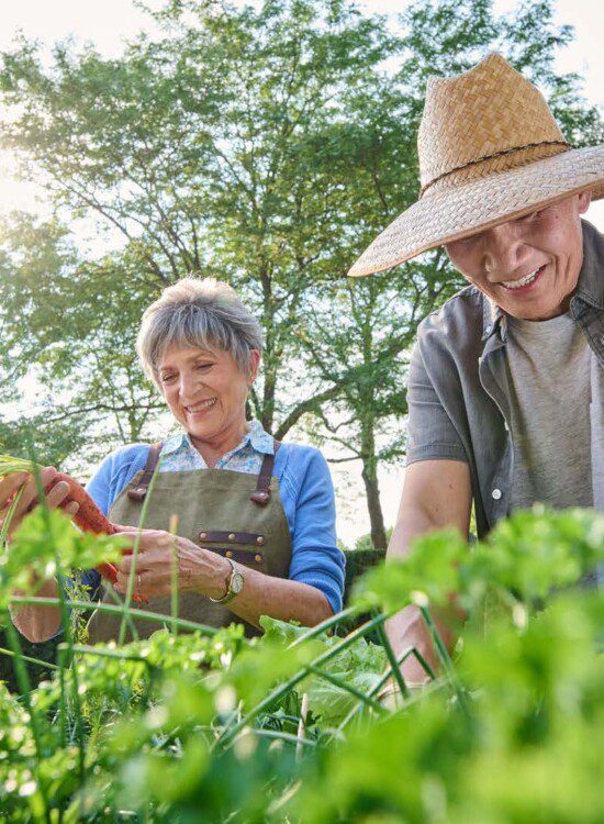 Two seniors smile and work in the community garden at Oak Trace Senior Living Community