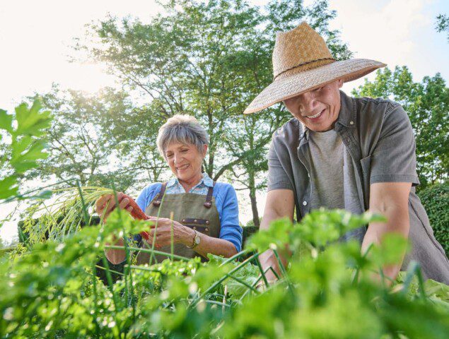 Two seniors smile and work in the community garden at Oak Trace Senior Living Community