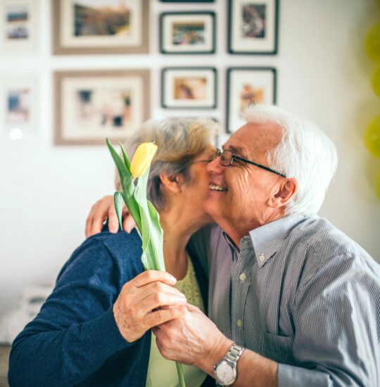senior man gives his wife a yellow tulip and the two embrace in a hug