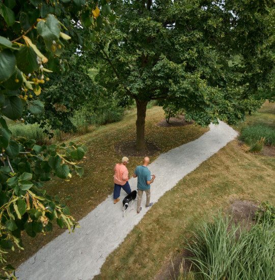 Two people walk dog on paved path through green trees and grassy area.