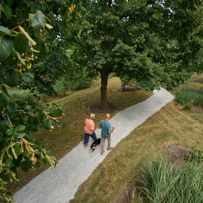 Shot 06 MinnardSkiles ThomasWheeler WithDog 0041 aerial view of senior man and woman walking their dog on a scenic path outside