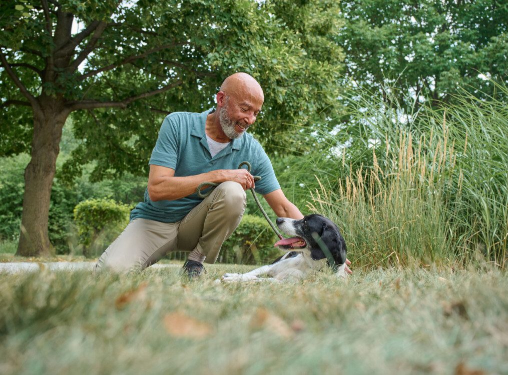 senior man kneels to give his dog belly rubs outside on the grass near a scenic path