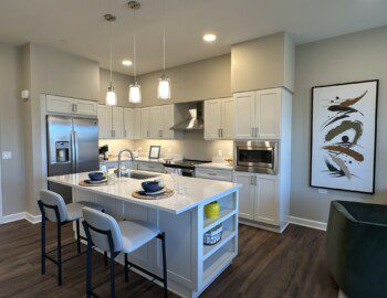 OT_1518_Kitchen (1)